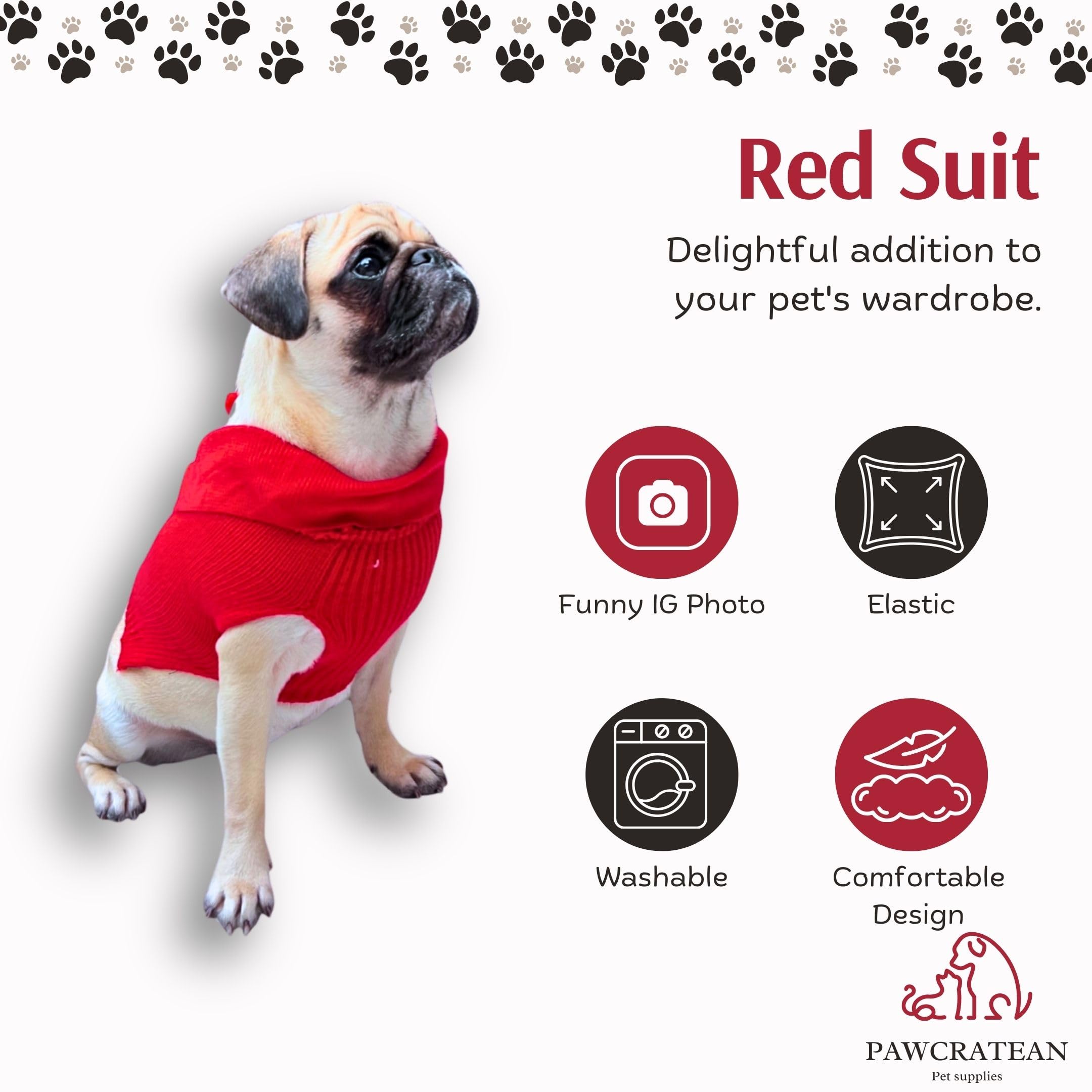 Pawcratean dog-cat fashion image highlights warmth and comfort.