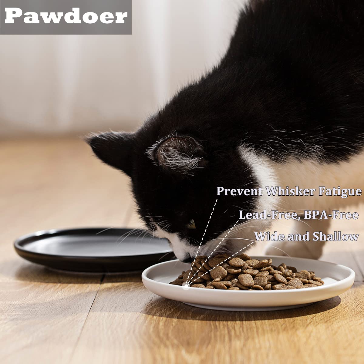 Pawdoer ceramic dish close-up with glaze finish, durable and easy to clean.
