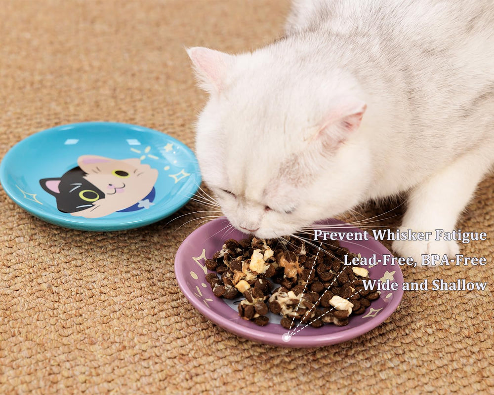 Pawdoer Ceramic Shallow Cat Dish kitten-use friendly for small breeds.