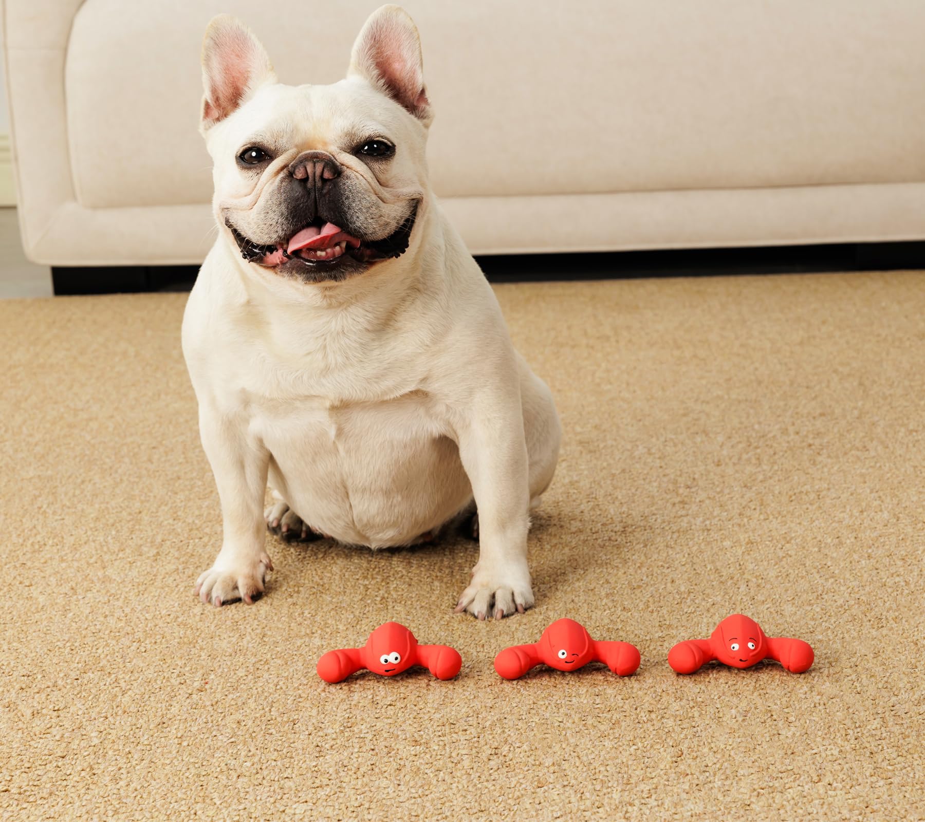 Pawdoer color-patterned squeaky toys for high-visibility play