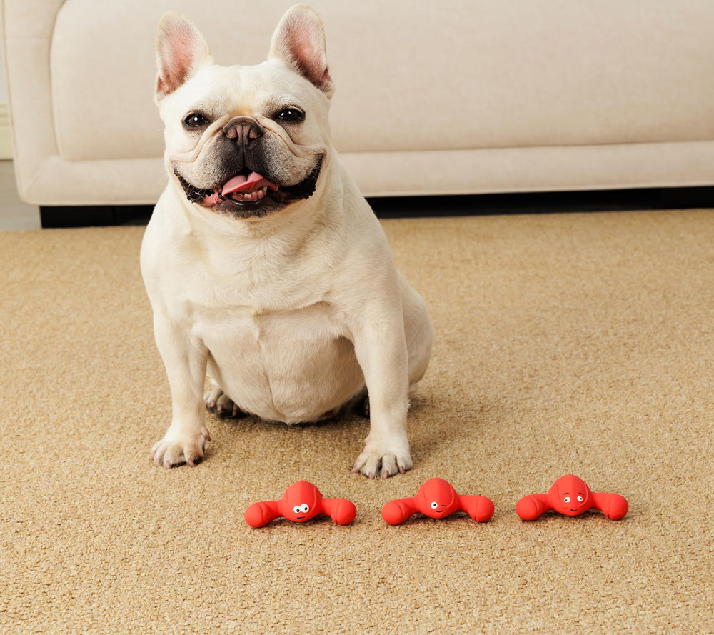 Pawdoer color-patterned squeaky toys for high-visibility play