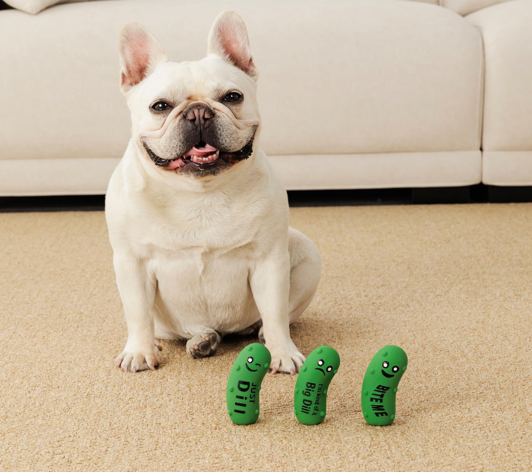 Pawdoer compact dog toy for park or backyard play sessions