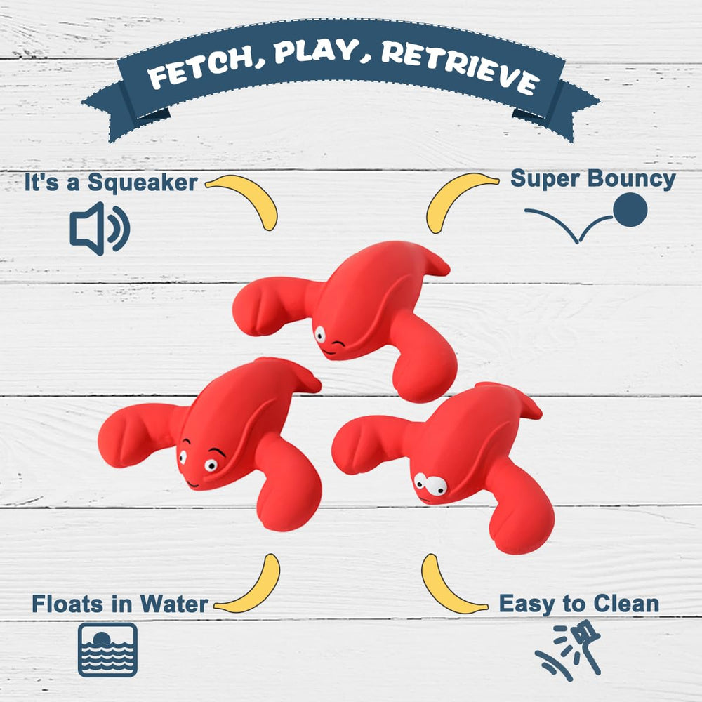 Pawdoer dog enjoying backyard fetch with the lobster toy