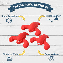 Pawdoer dog enjoying backyard fetch with the lobster toy