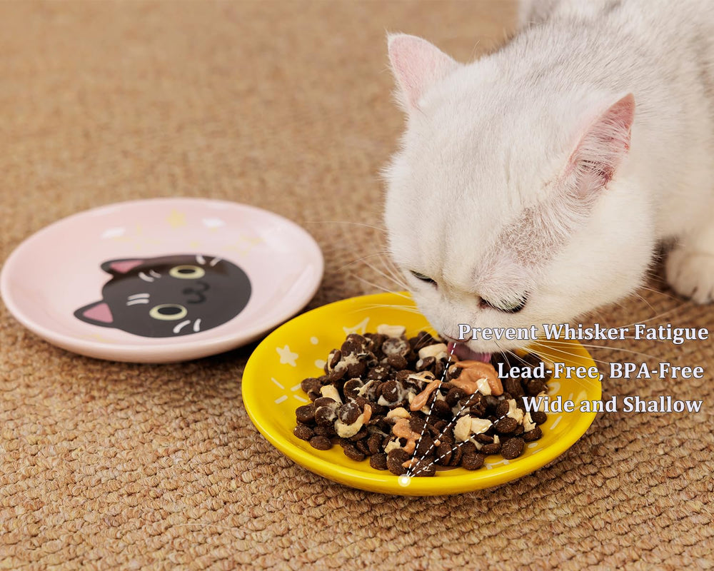 Pawdoer kitten-friendly cat plate shown for small pets and kittens.