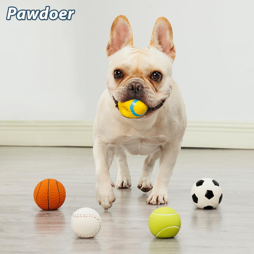 Pawdoer Squeaky Ball pack: complete 5-pack for versatile home and outdoor play