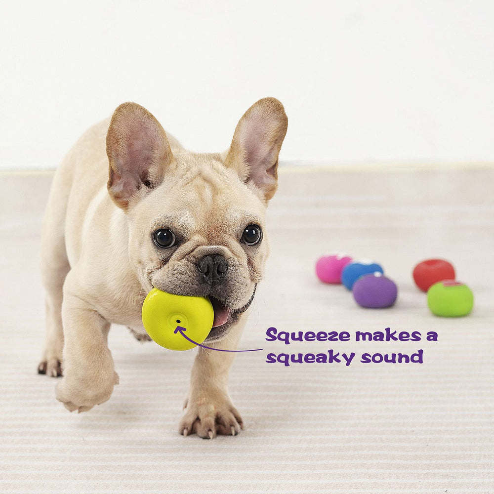 Pawdoer donut-shaped ball with unpredictable bounce for small dogs