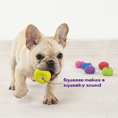 Pawdoer donut-shaped ball with unpredictable bounce for small dogs