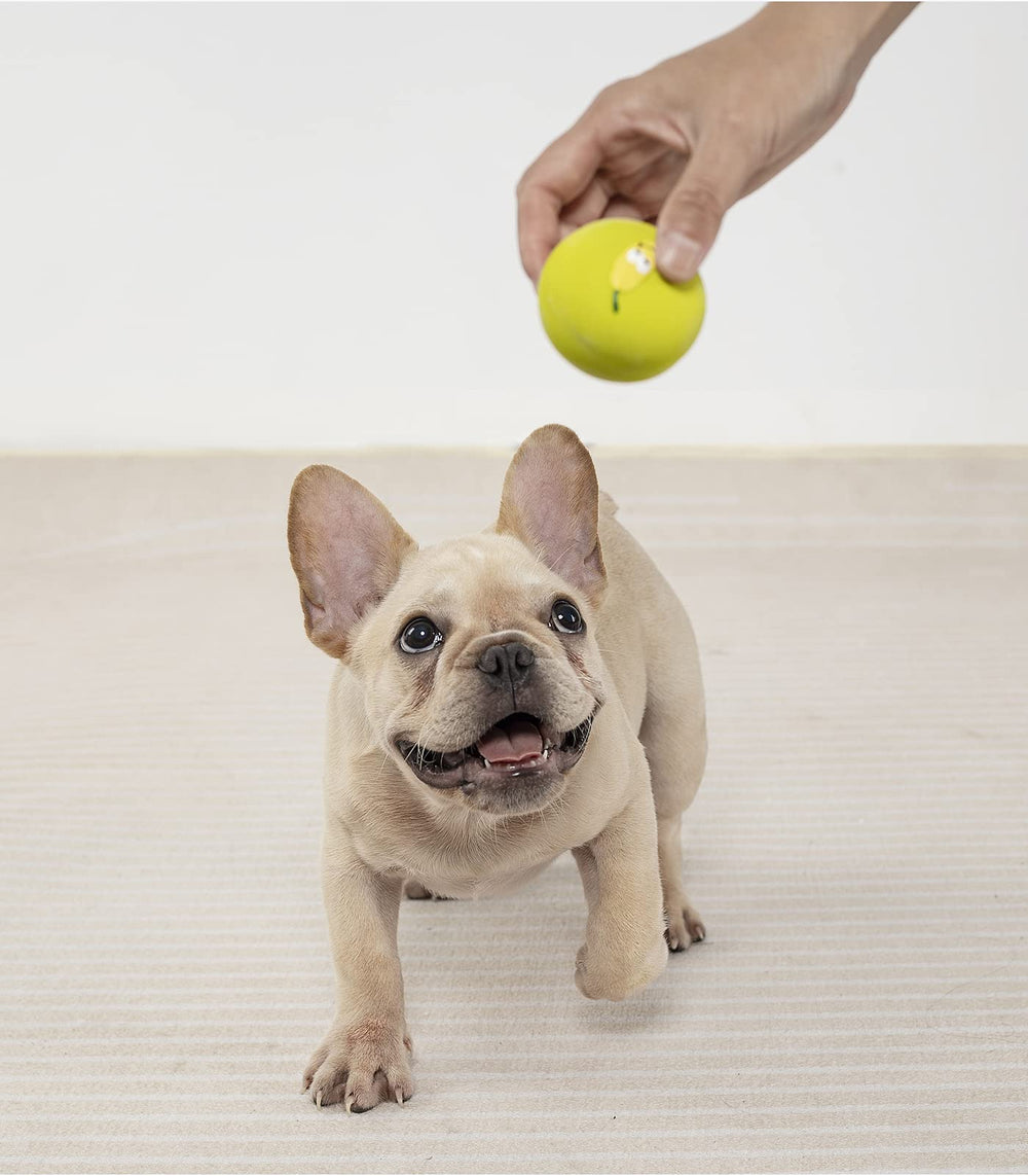 Pawdoer squeaky ball for puppies and small dogs during play