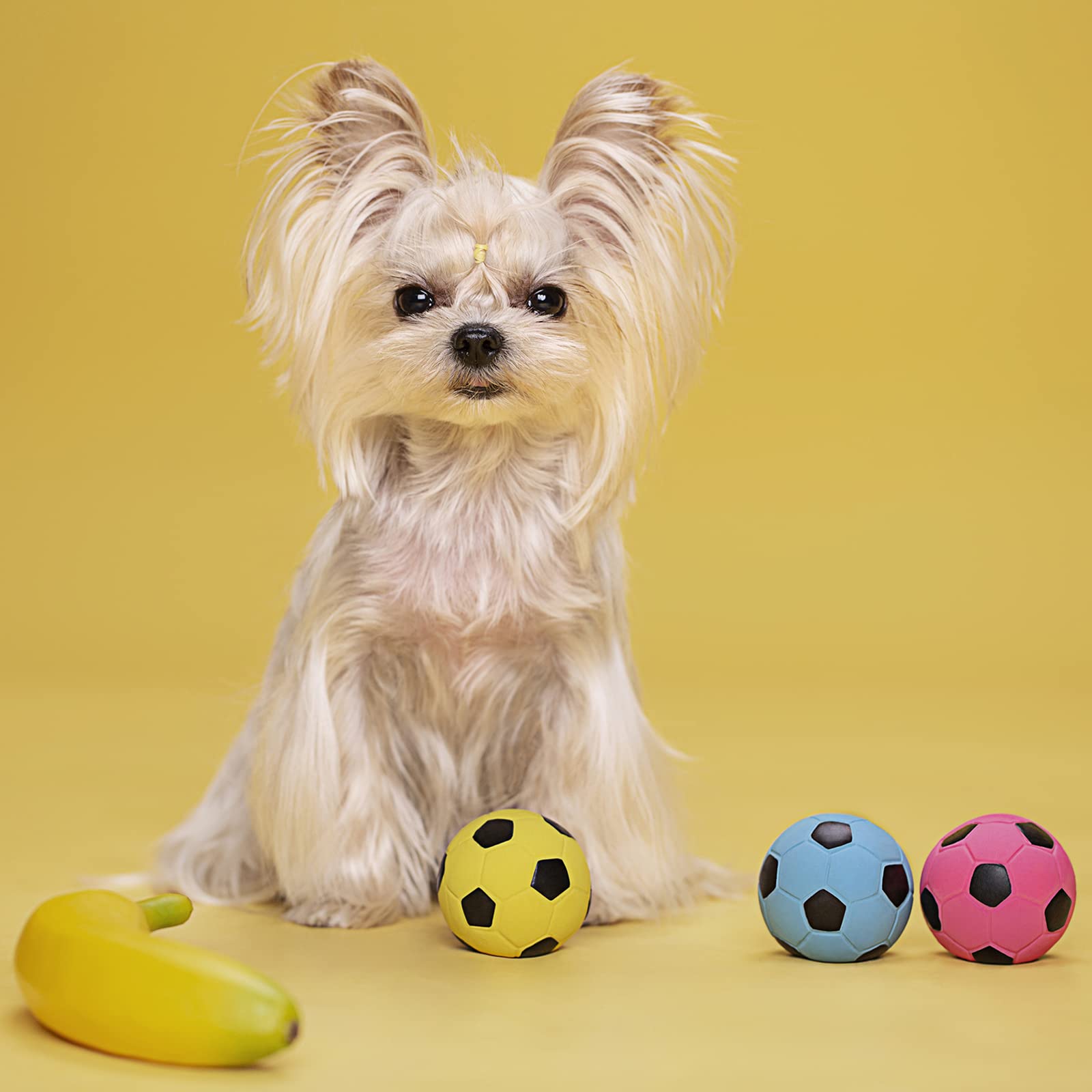 Pawdoer squeaky dog ball-small-dogs-puppies—perfect size for tiny breeds and teething fun.
