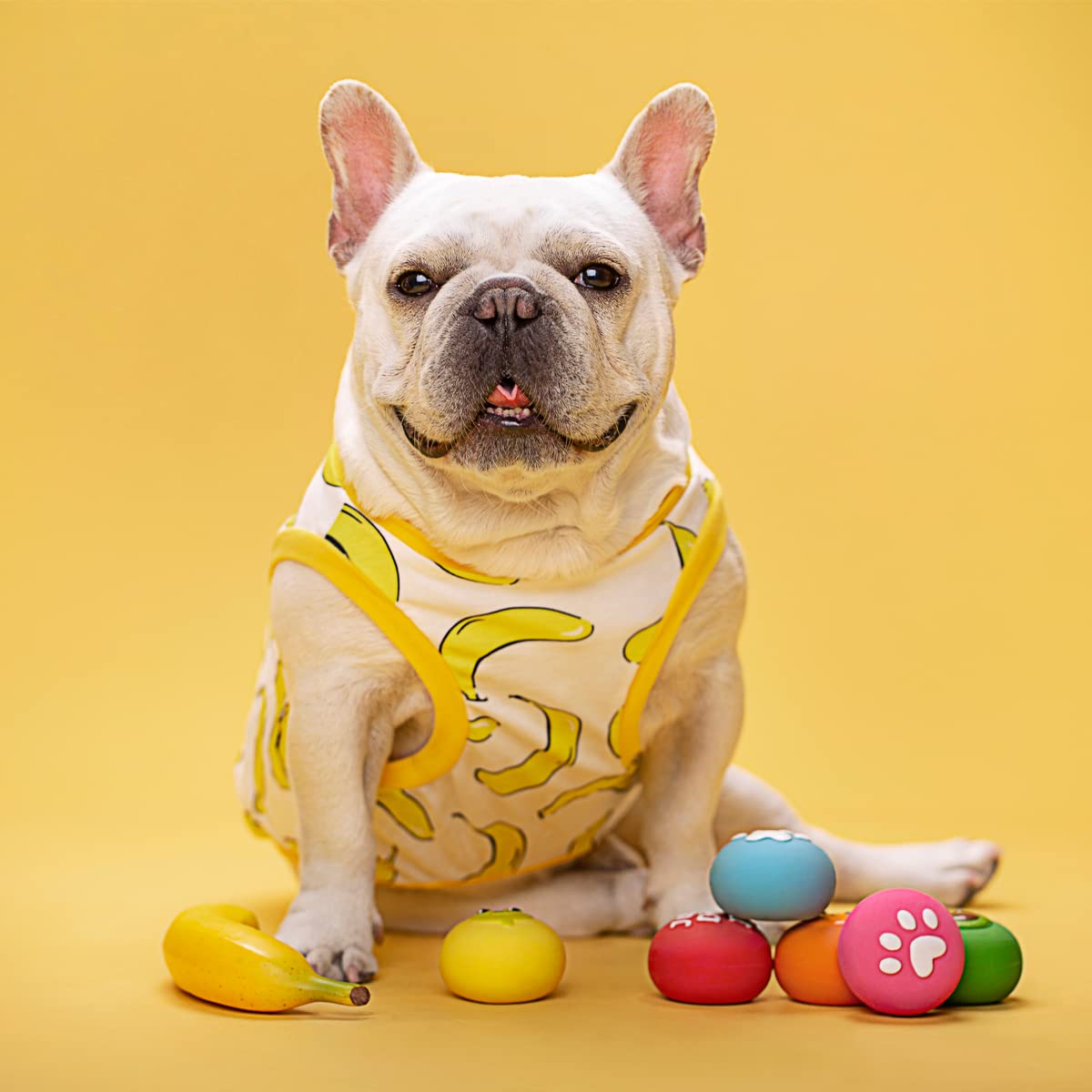 Pawdoer Squeaky Dog Toy Ball designed for small dogs and puppies for easy handling.