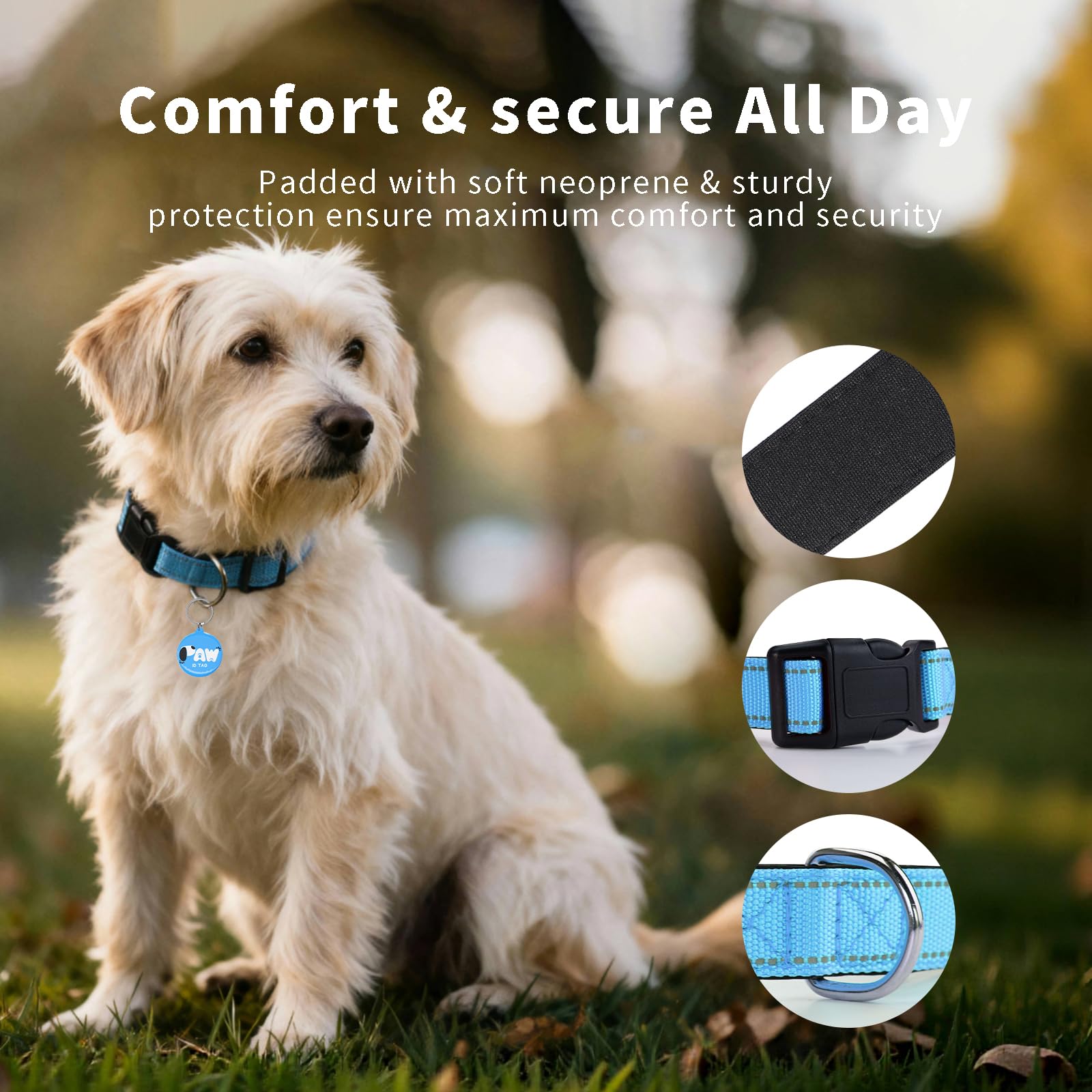 PawDuct mint-green collar on a small dog demonstrates adjustable fit.