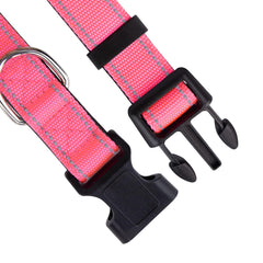 PawDuct neoprene-padding comfort keeps dogs comfortable on all-day wear