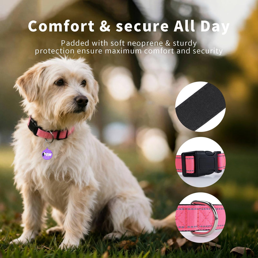 PawDuct quick-release buckle makes on-off fast and easy