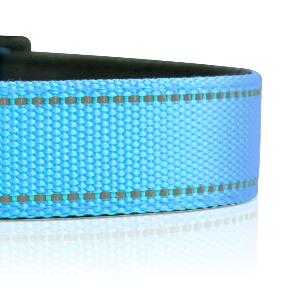 PawDuct ultralight D-ring design reduces neck strain during active play.