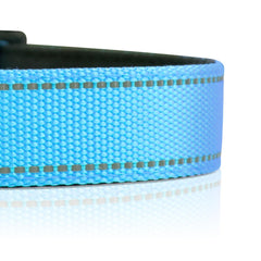 PawDuct ultralight D-ring design reduces neck strain during active play.