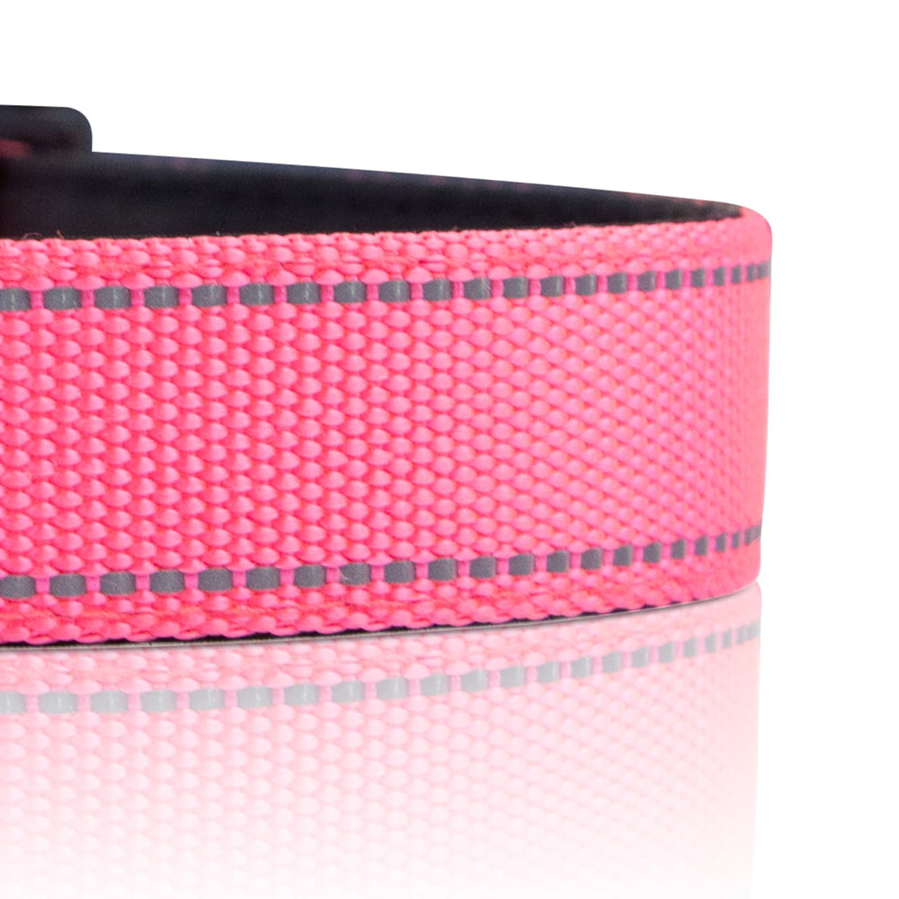 PawDuct ultralight-durable D-ring reduces neck strain during adventures