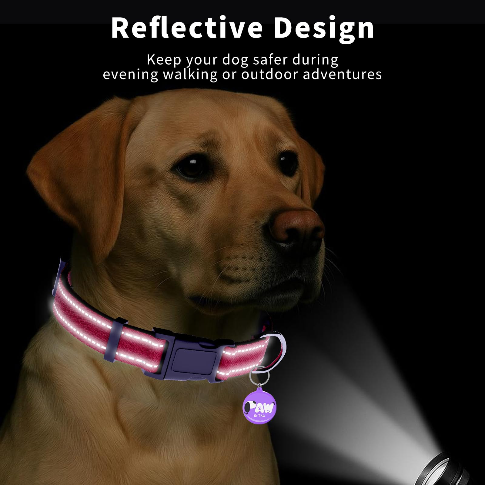 PawDuct weatherproof design ideal for hiking, swimming, outdoor play
