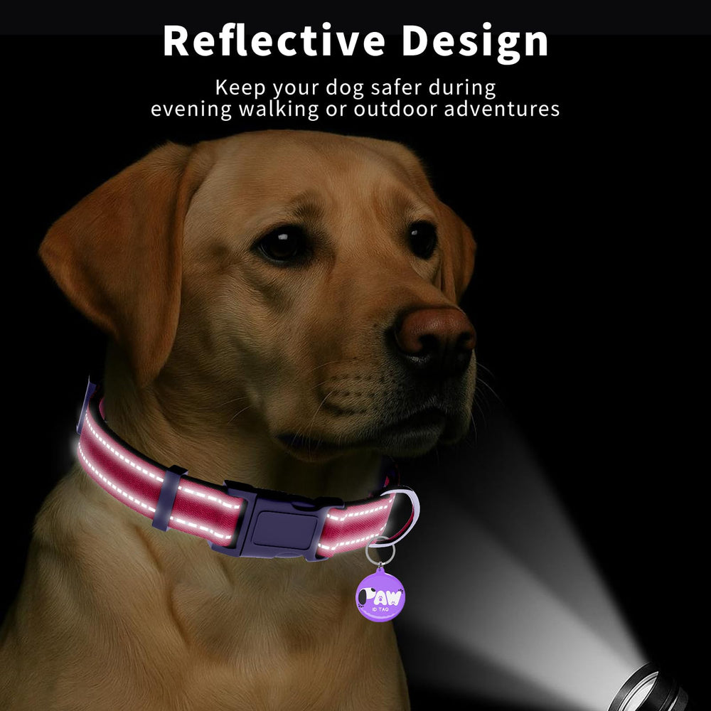 PawDuct weatherproof design ideal for hiking, swimming, outdoor play