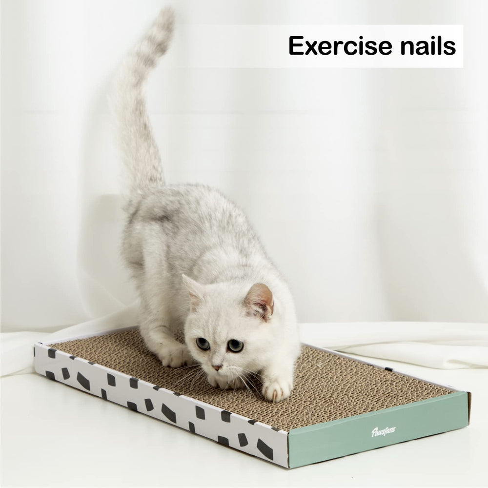 PAWSFANS recycled cardboard material highlights eco-conscious scratching solution