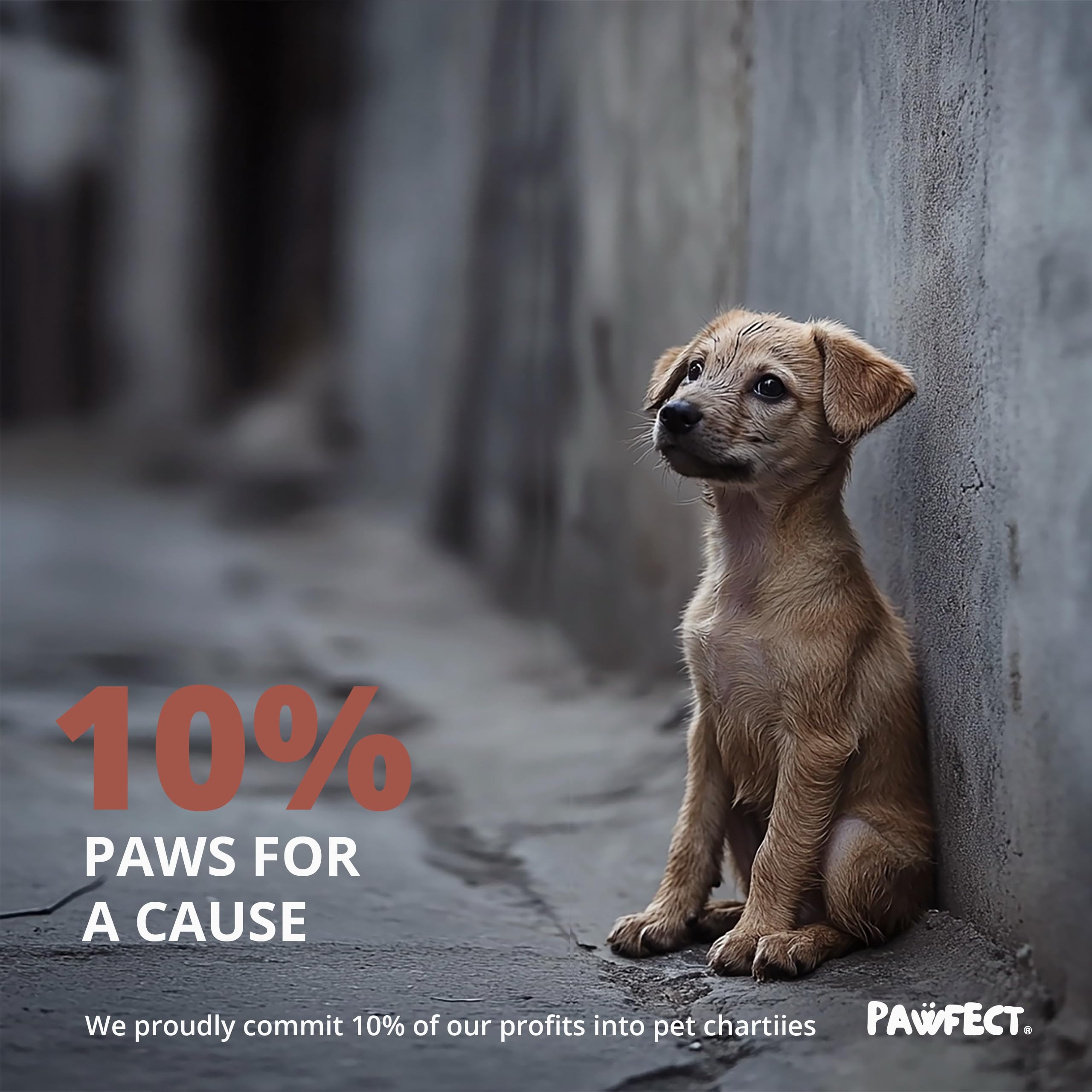 Pawfect 240-count rolls emphasizing long-lasting supply
