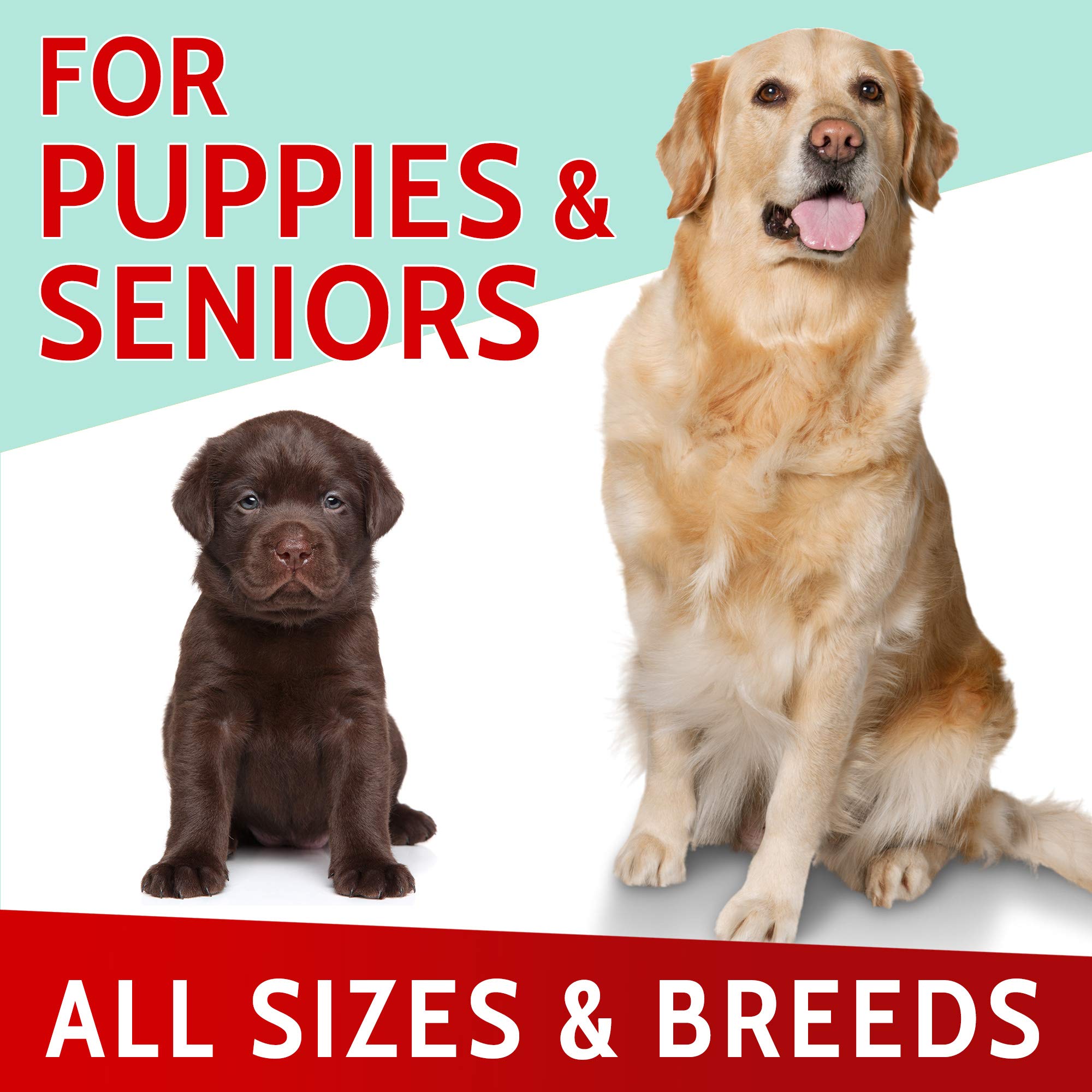 PAWFECTCHEW all-breeds packaging showing suitability for dogs of all ages.