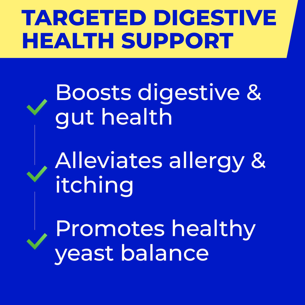PAWFECTCHEW digestive enzymes with pumpkin fiber in a bowl showcasing gut-friendly daily care.