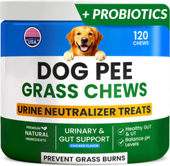 PAWFECTCHEW Green Grass Dog Chews bag highlights probiotic formula for lawn health.