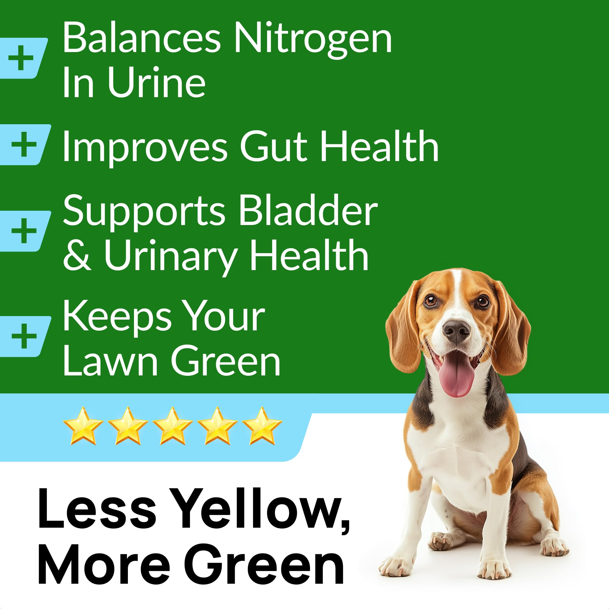 PAWFECTCHEW Green Grass Dog Chews biscuit-like chews demonstrate easy, chewable format.