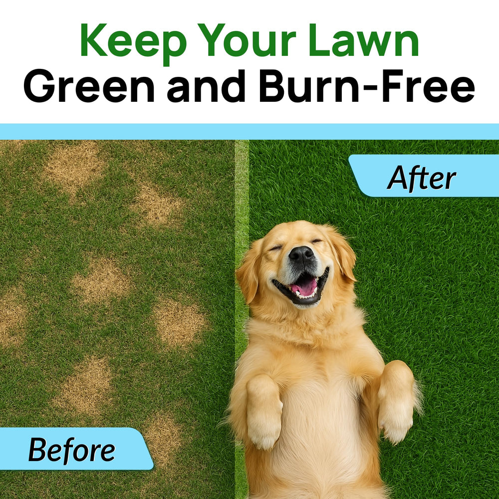 PAWFECTCHEW Green Grass Dog Chews dog chewing close-up shows tasty, gut-friendly treats.