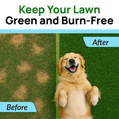 PAWFECTCHEW Green Grass Dog Chews dog chewing close-up shows tasty, gut-friendly treats.
