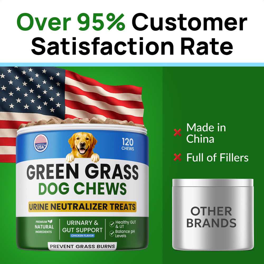 PAWFECTCHEW Green Grass Dog Chews for all dog sizes shown as a tasty lawn-friendly treat.
