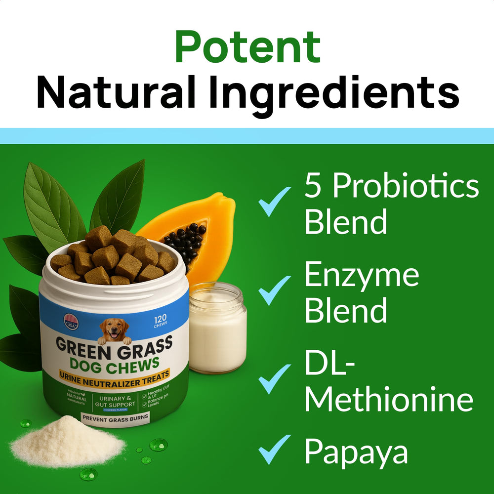 PAWFECTCHEW Green Grass Dog Chews ingredients card features DL-Methionine and enzymes.