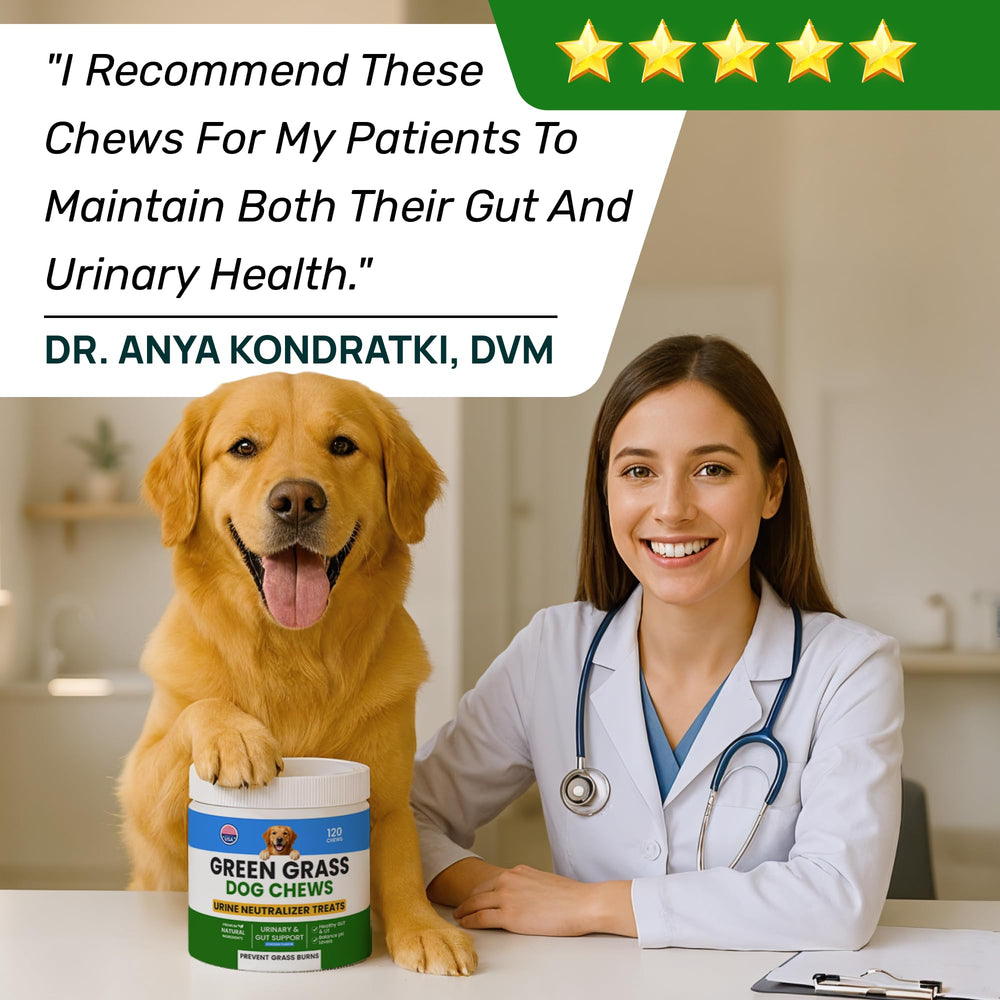 PAWFECTCHEW Green Grass Dog Chews 90-day guarantee seal communicates lawn protection promise.