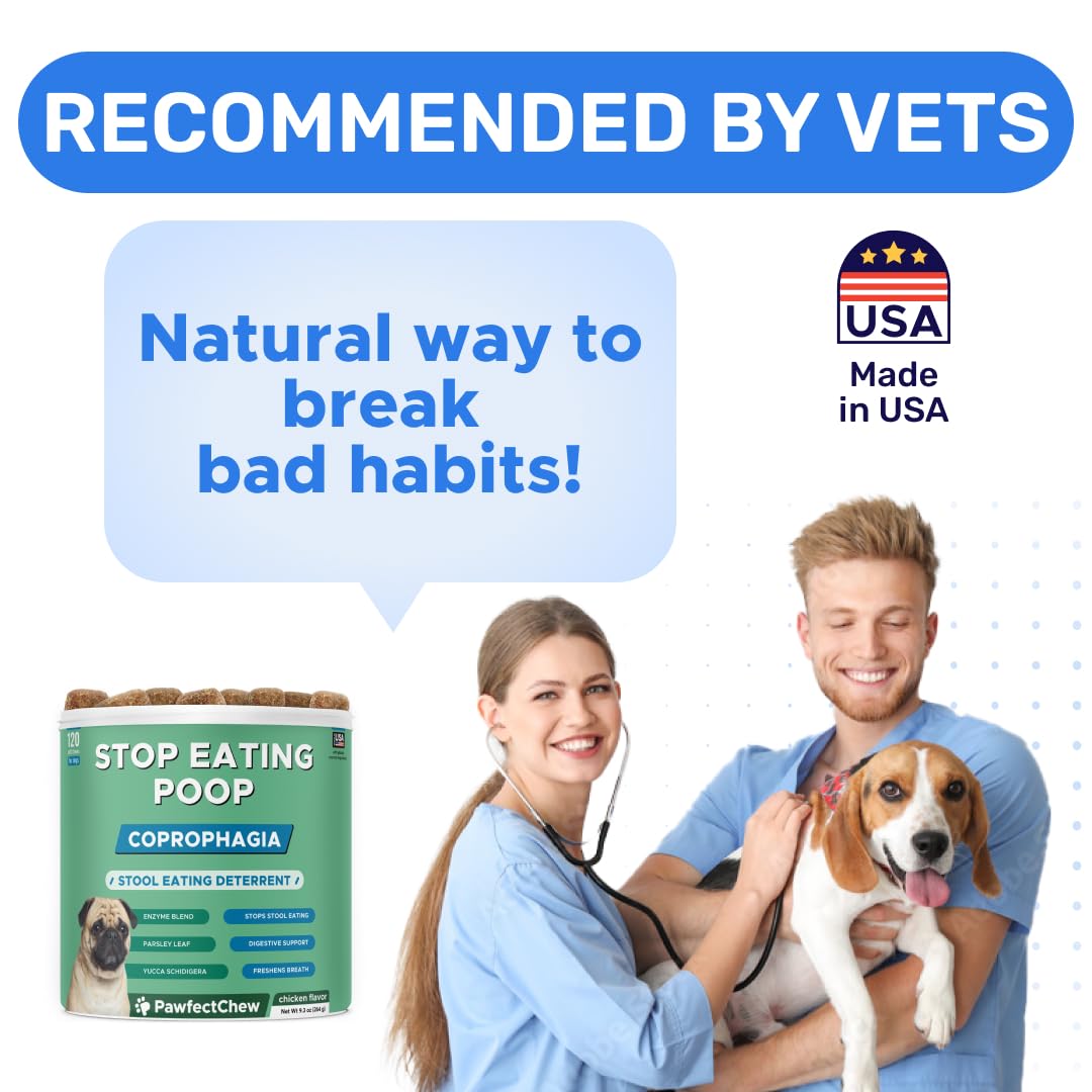 PAWFECTCHEW safe-gmp-testing representation underlines reliable manufacturing and pet-safe chews.