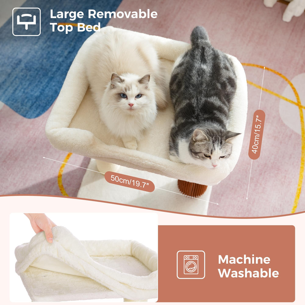 Pawfessor cat self-groomer lower level for hair removal