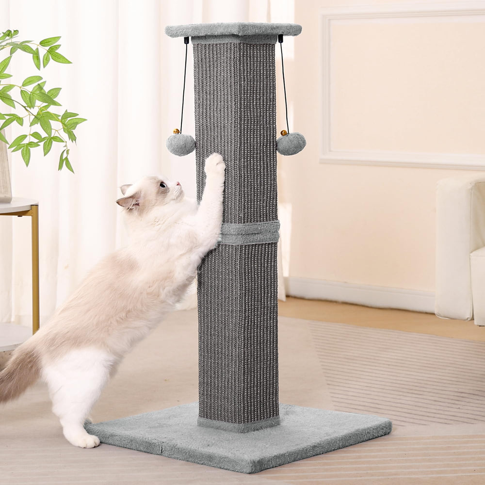 Pawfessor cat tower plush plank offers observation perch and enrichment space.