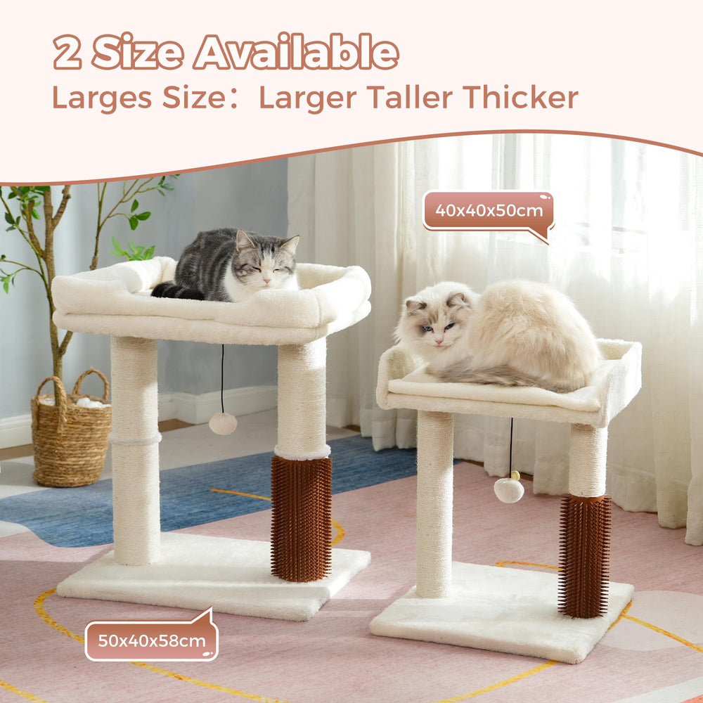 Pawfessor large platform 20x15.7 inches for two cats