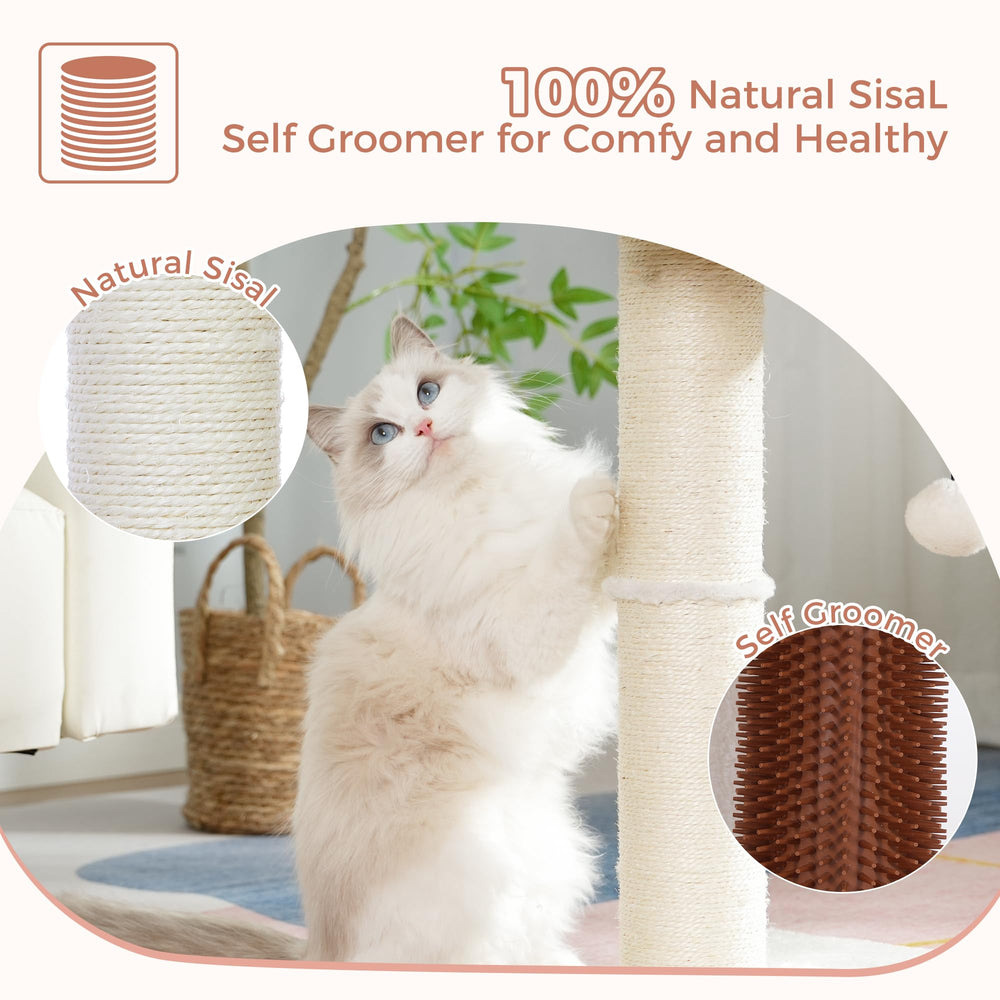 Pawfessor plush bed with removable machine-washable cushion