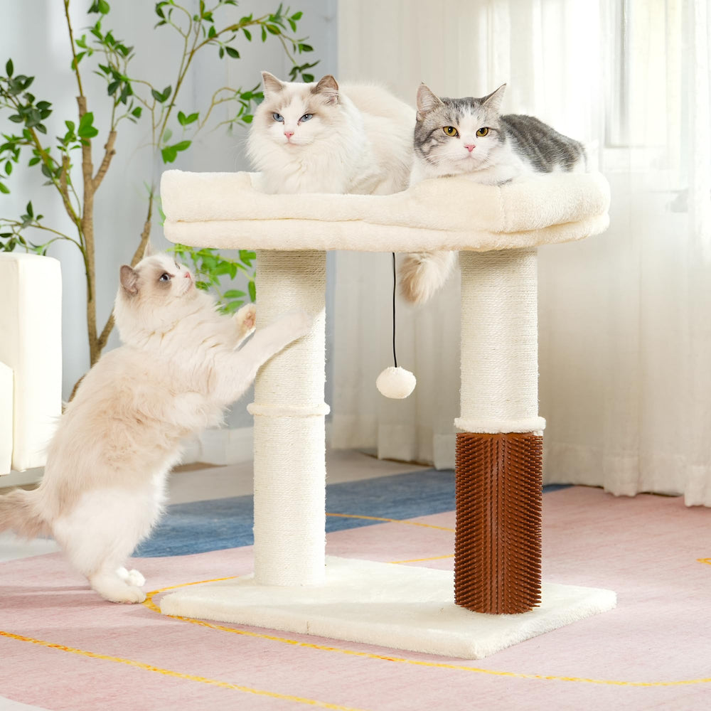 Pawfessor 5-inch dia post with wide base for stability