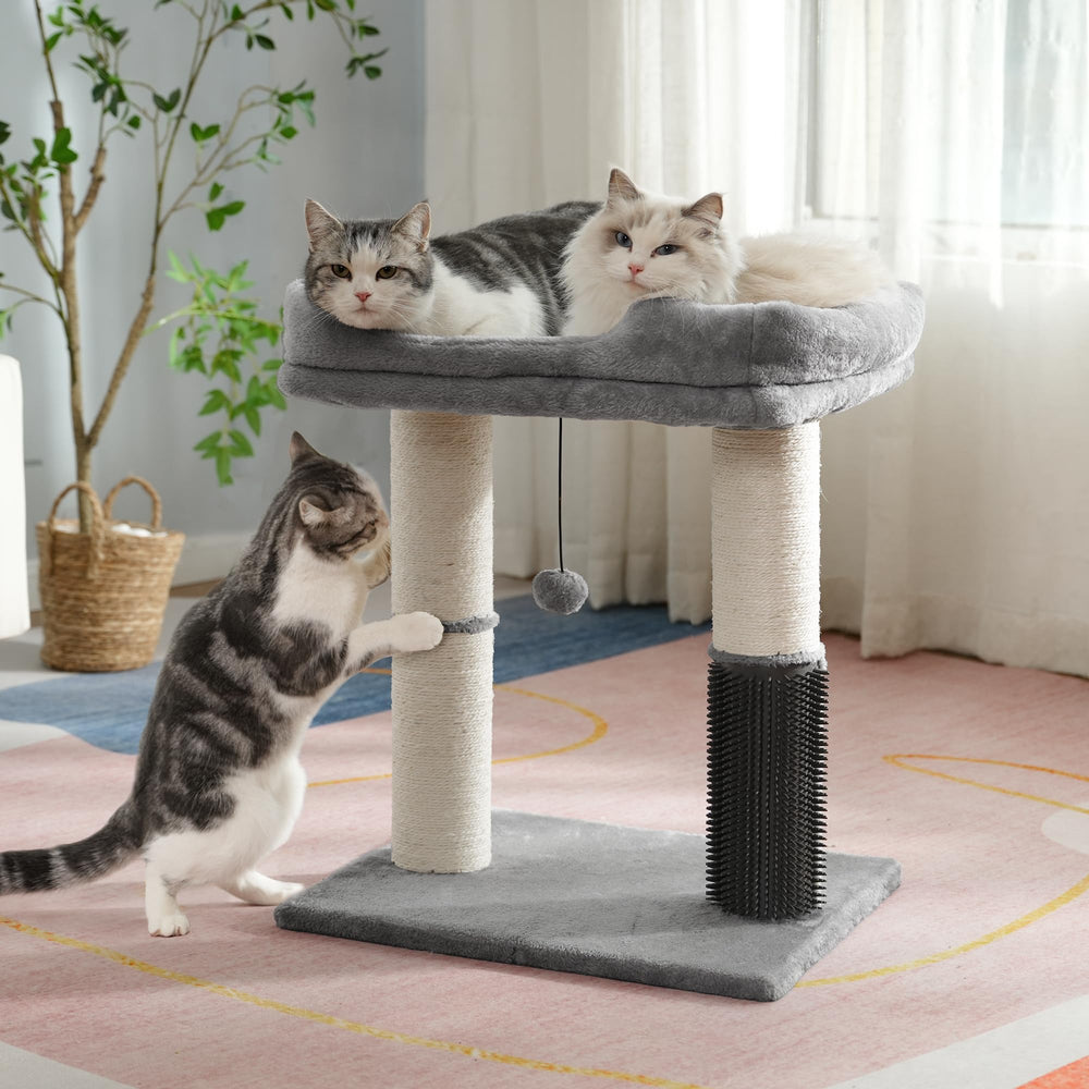 Pawfessor cat tree tower quick assembly with included tool pack