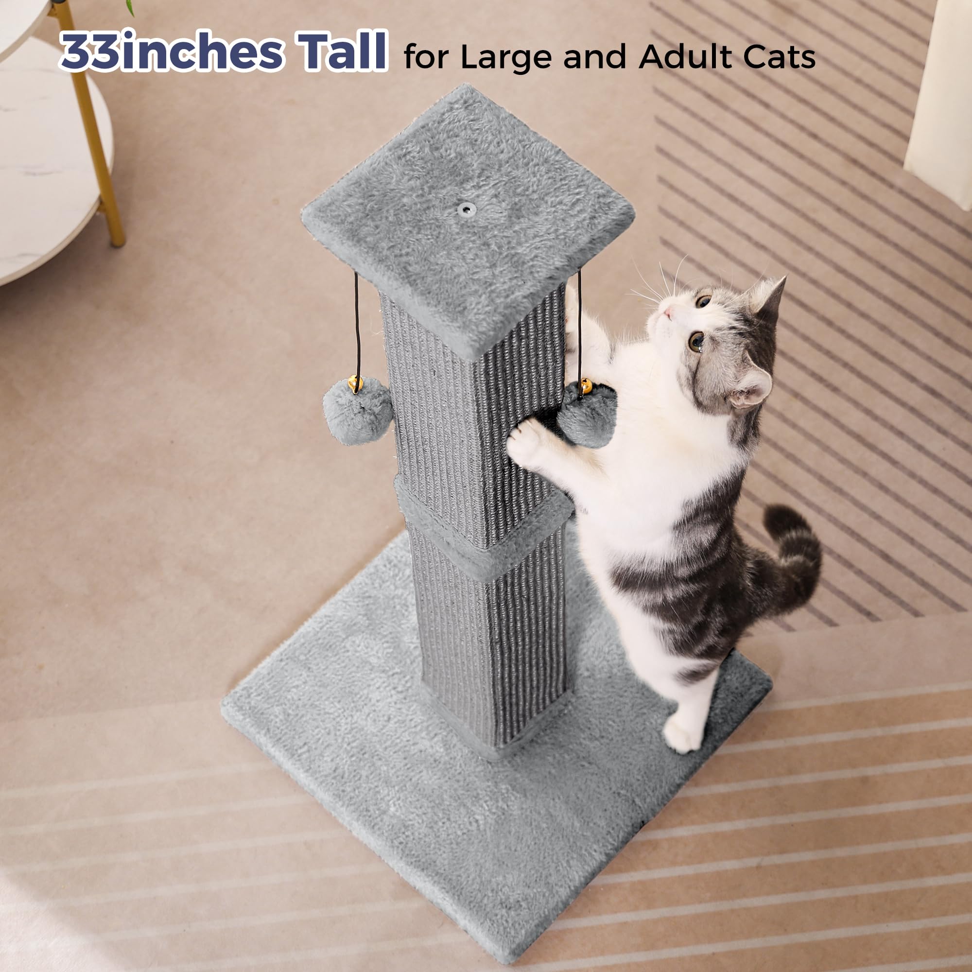 Pawfessor easy assembly image shows quick setup with clear instructions.