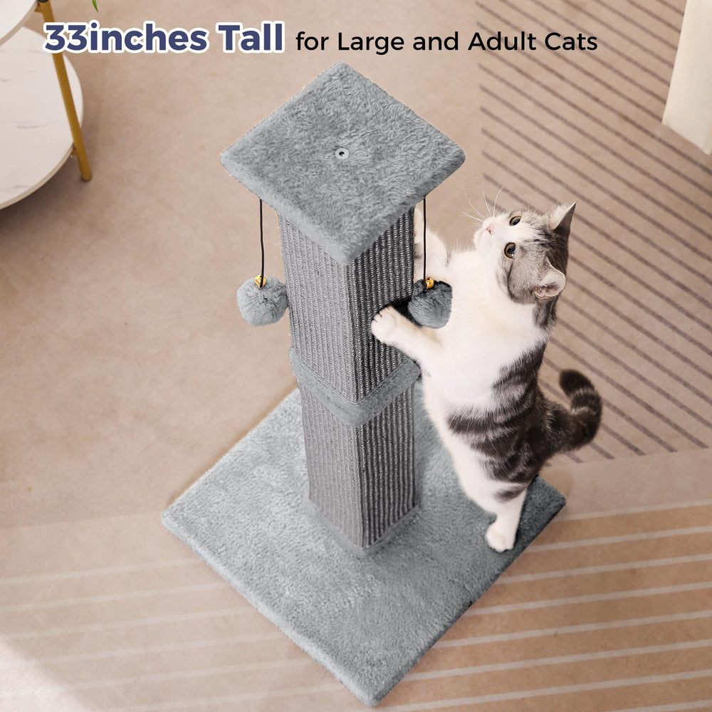 Pawfessor easy assembly image shows quick setup with clear instructions.