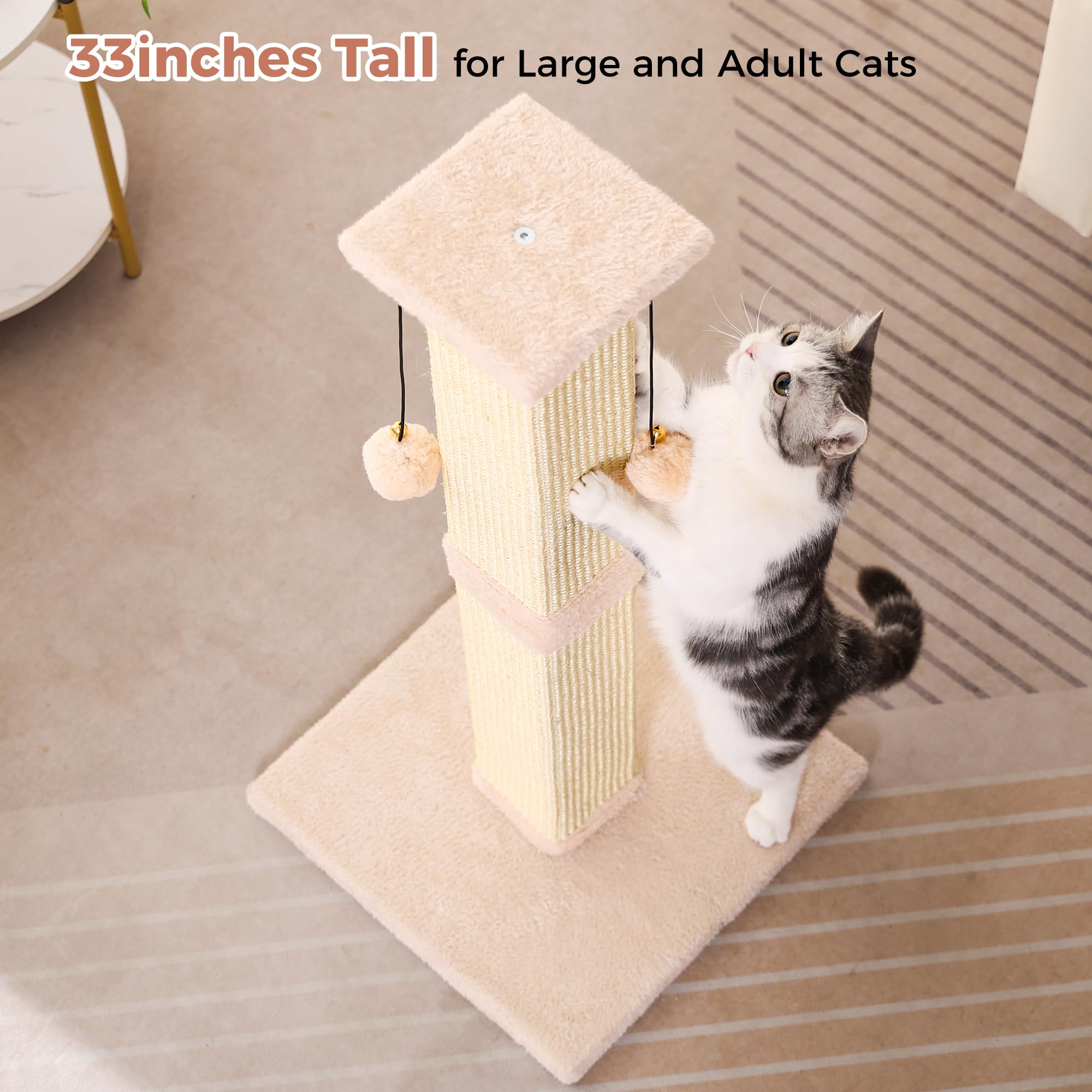Pawfessor easy-assembly in minutes with clear instructions for quick setup.
