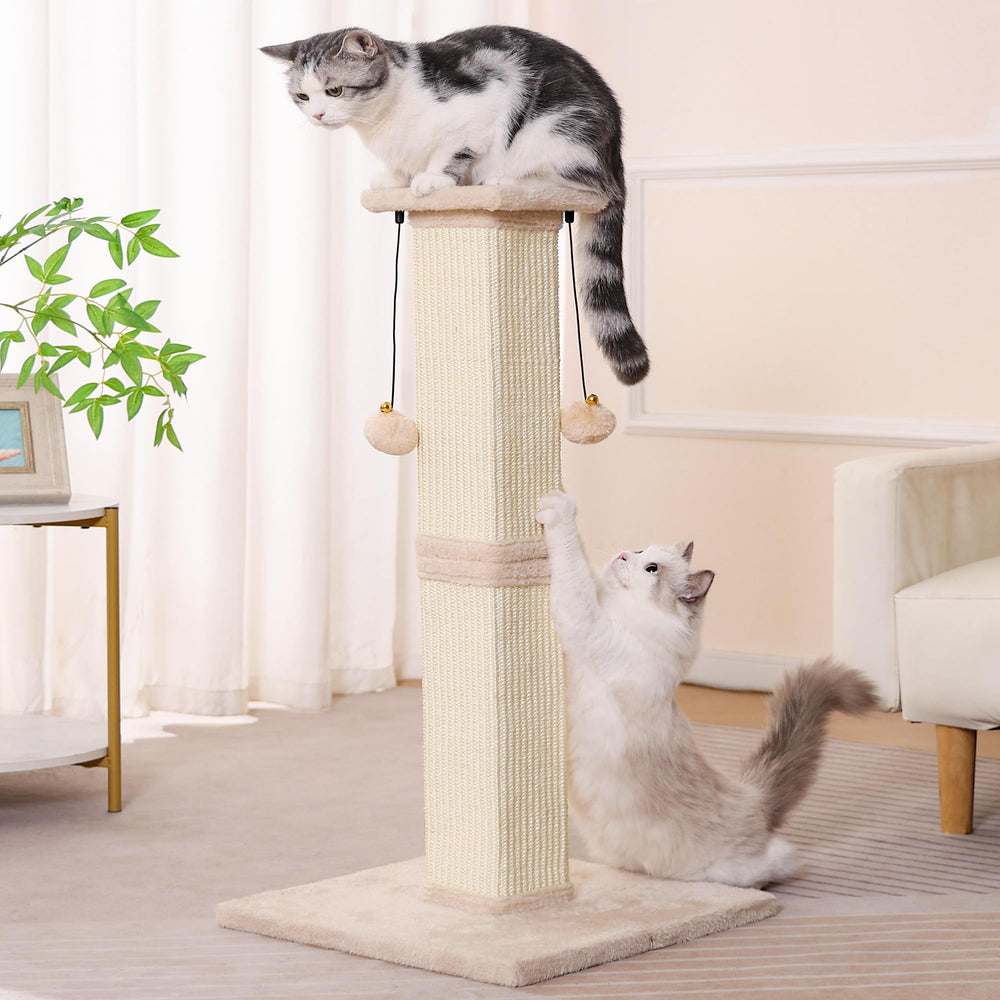 Pawfessor heavy-duty base maintaining steady support during vigorous scratching.