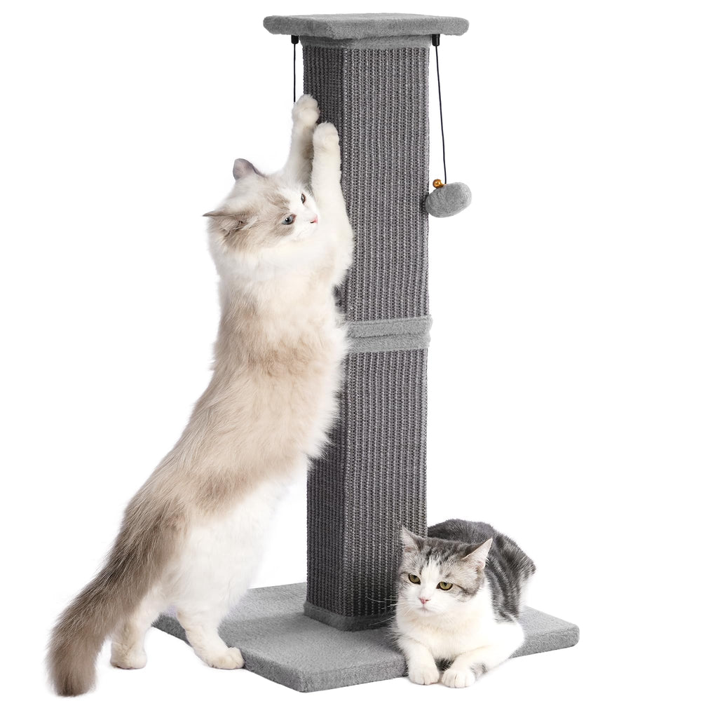 Pawfessor large cat scratching post base grey provides stable support for energetic big cats.