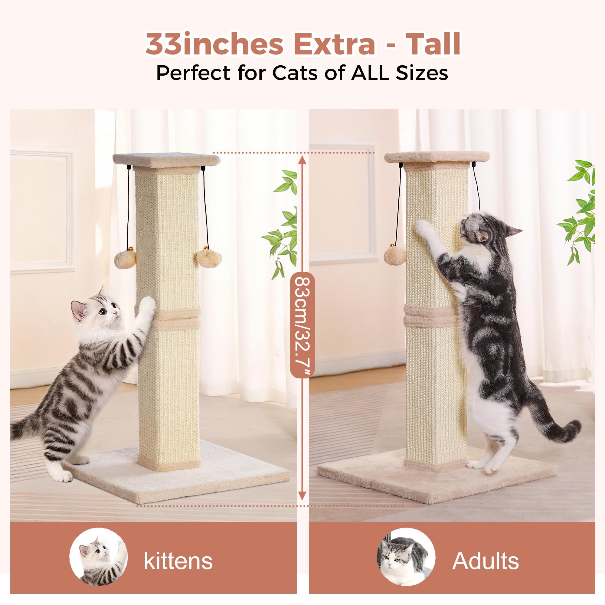 Pawfessor plush top plank providing a soft perch and observation spot.