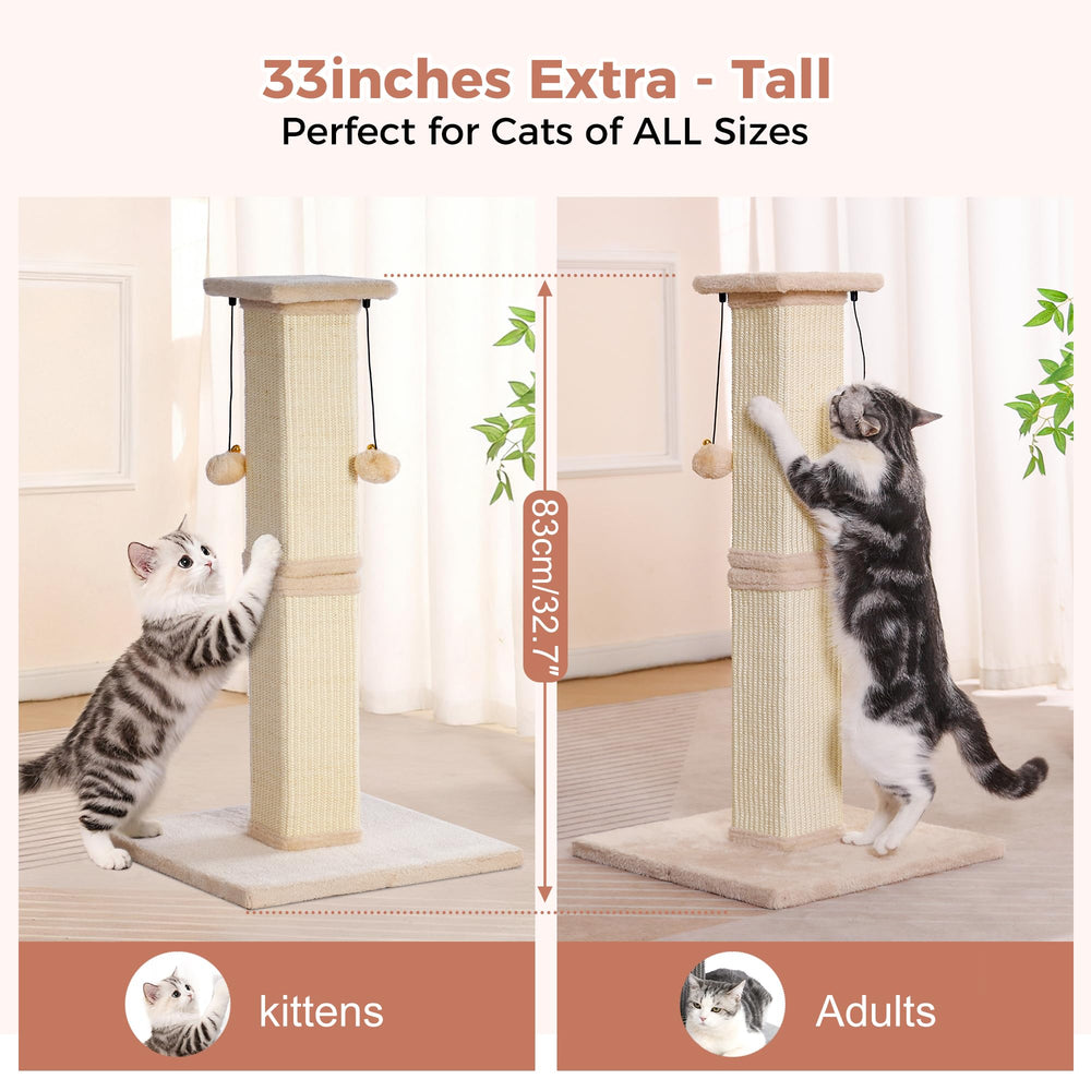 Pawfessor plush top plank providing a soft perch and observation spot.