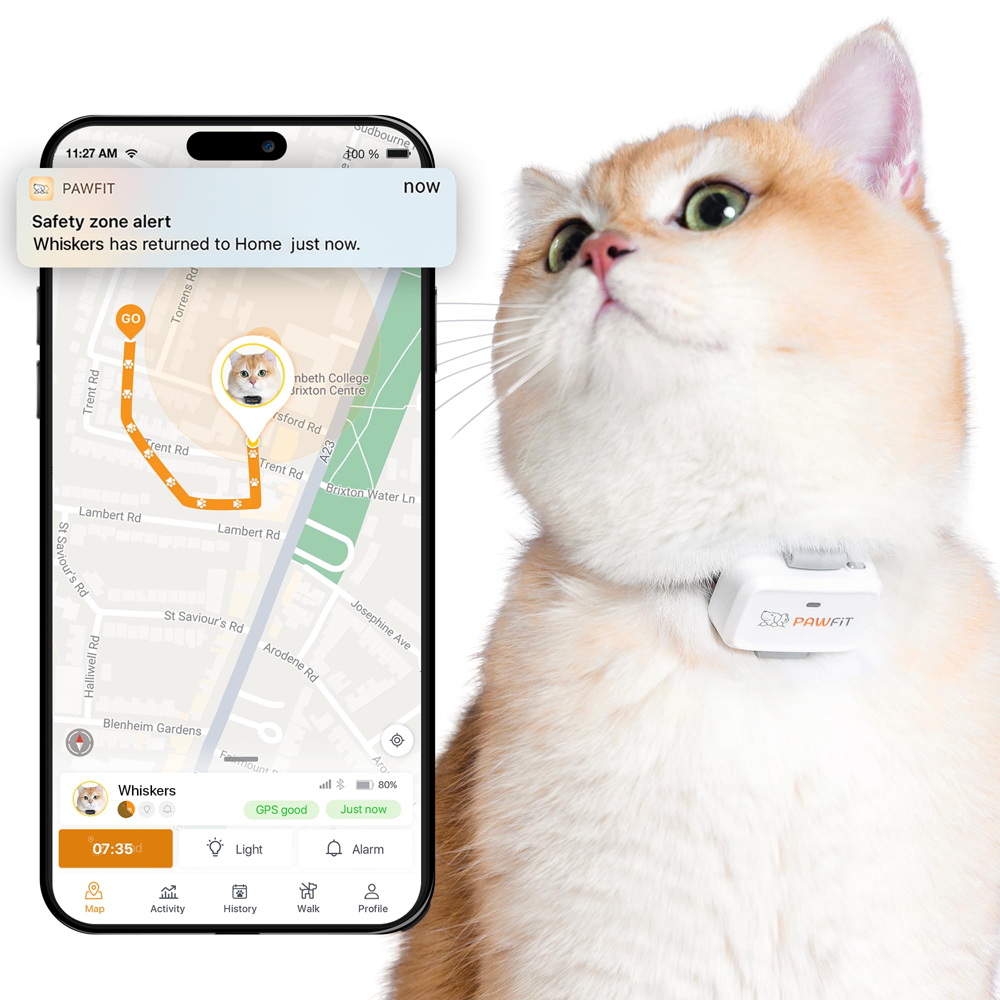 Pawfit Lite on-cat tracker provides real-time location updates for quick peace of mind
