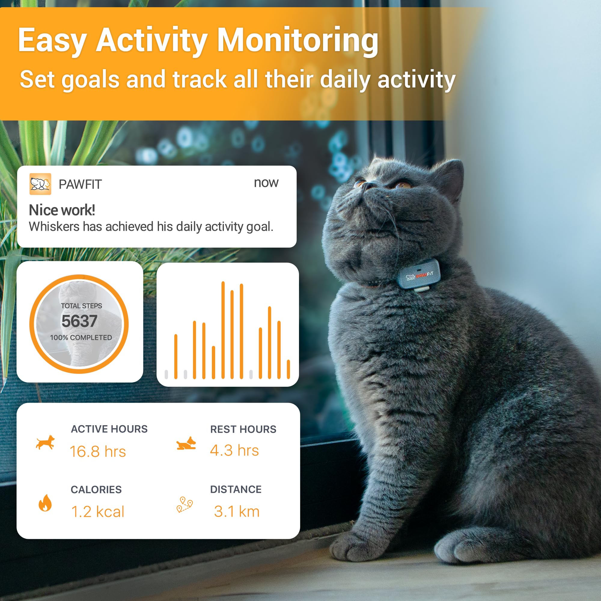 Pawfit Lite LED light helps locate your cat in low light conditions